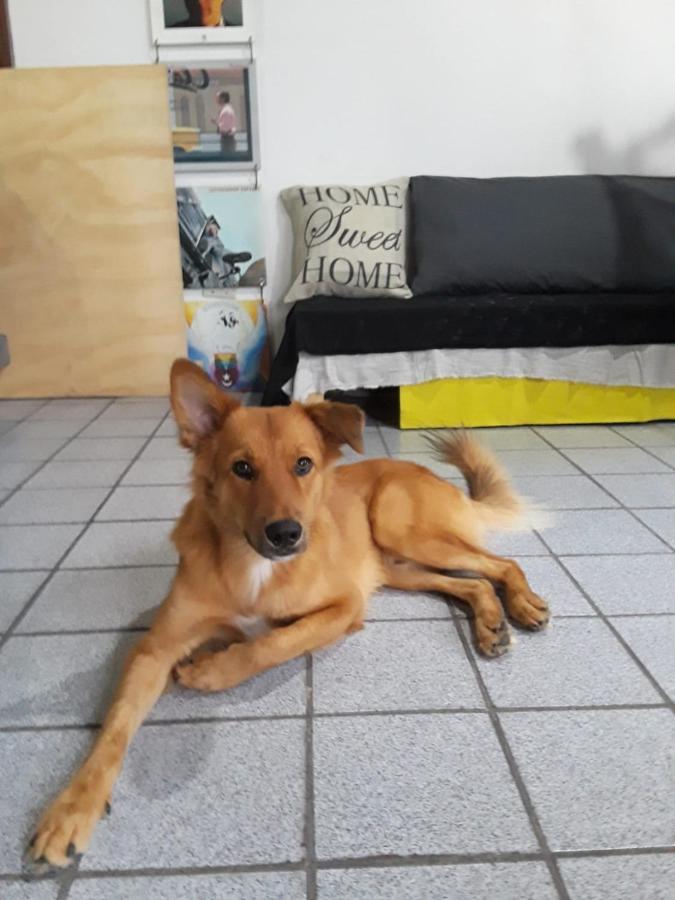 Casa Do Silvestre 호텔 비토리아 외부 사진